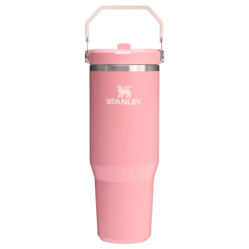 Stanley IceFlow 2.0 Flip Straw Tumbler with Handle 30 oz
