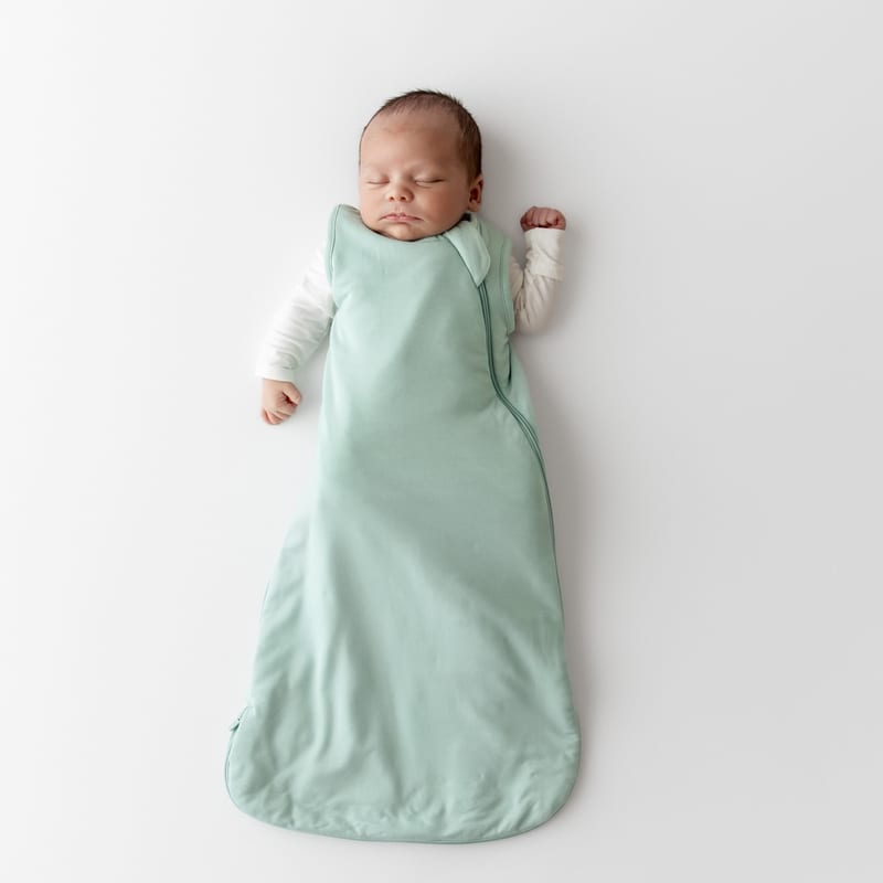 Kyte Baby Sleep Bag Sack